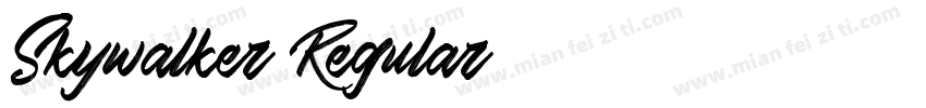 Skywalker Regular字体转换